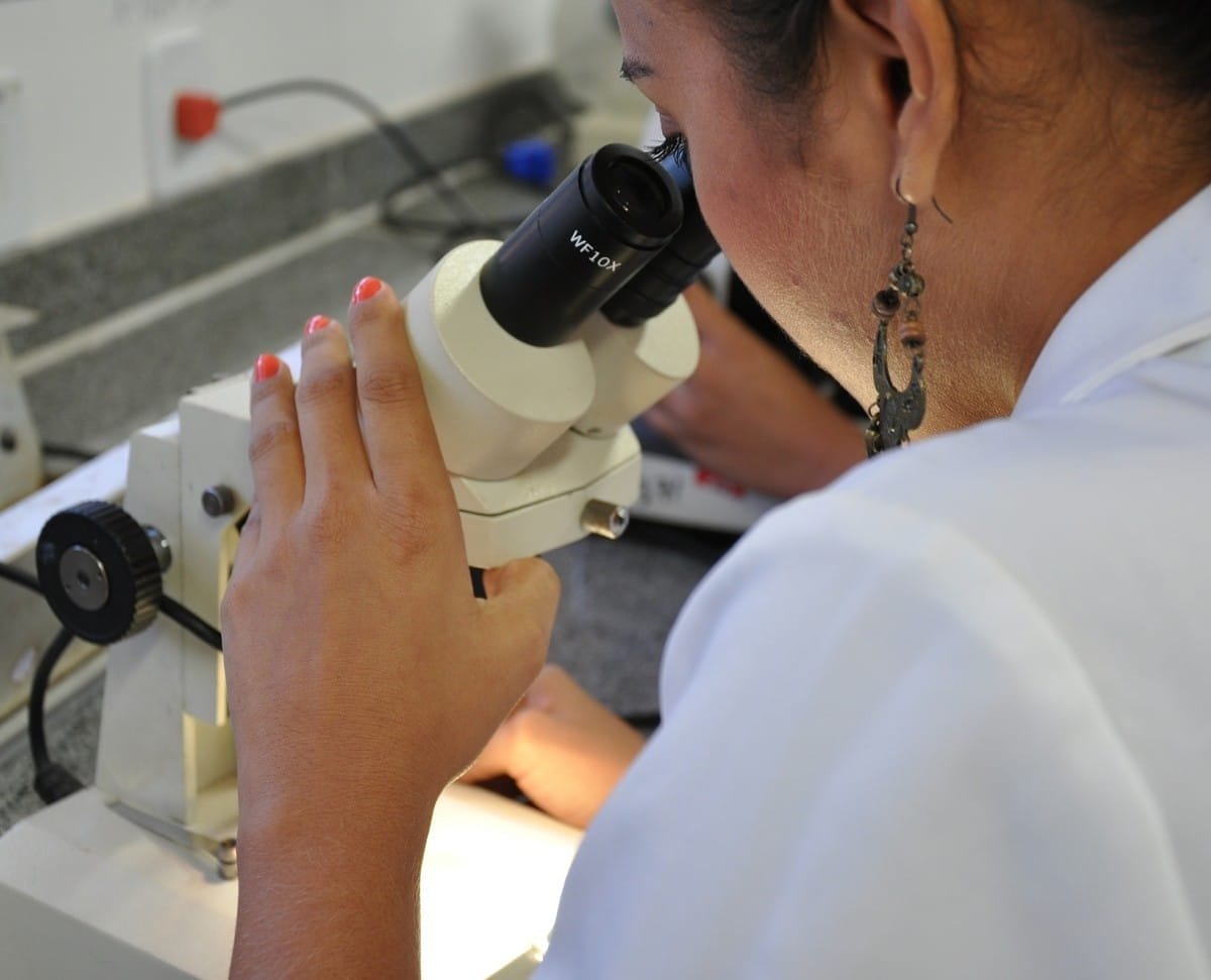 Ufopa lança processo seletivo para mestrado em Biociências saiba como